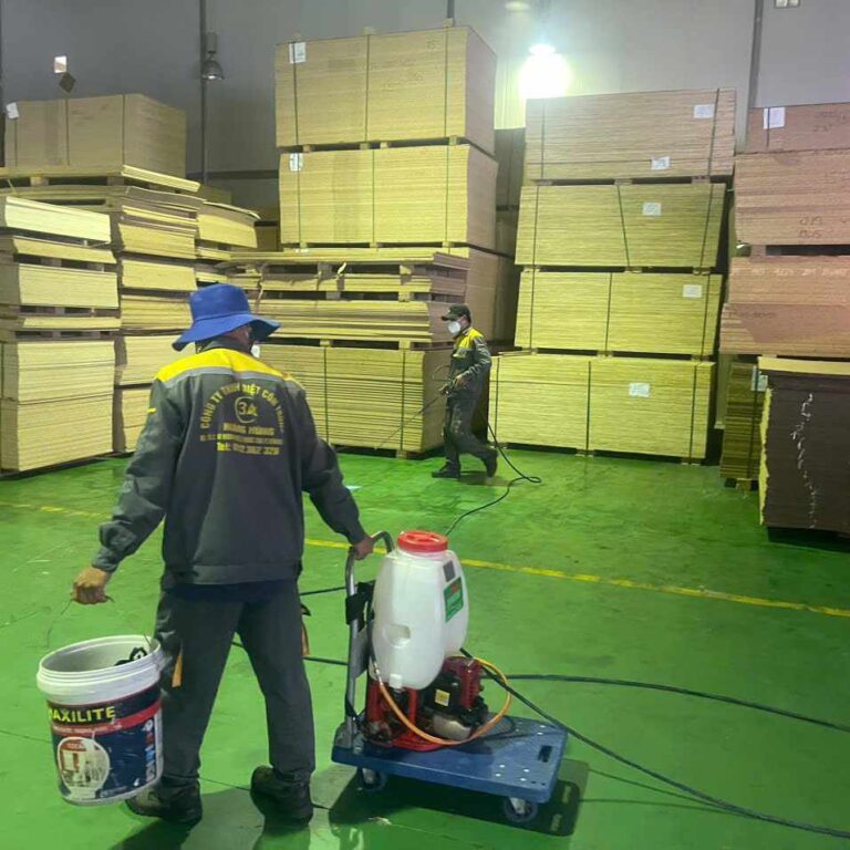 454604677_2279414805733936_7090988934466340737_n