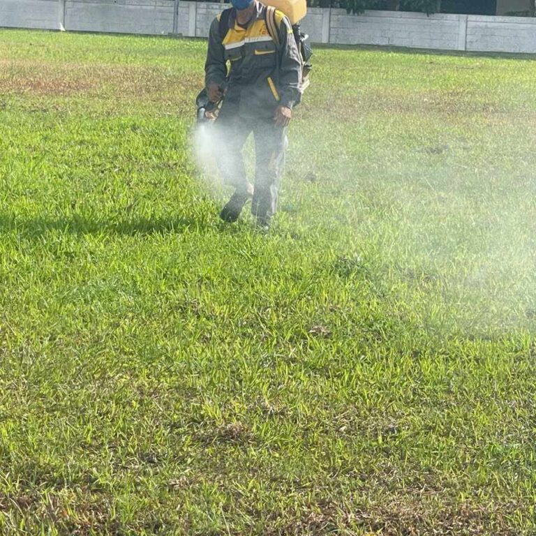 454647739_536225945417946_323004806784306846_n