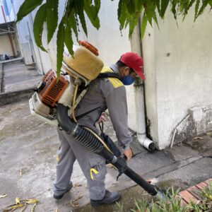 z5695341307789_1ec1f5264acd66a170cbf4b6b1b77537