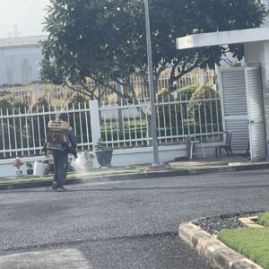 z5695341361922_41402936b0733a970dba44af8790dfc1