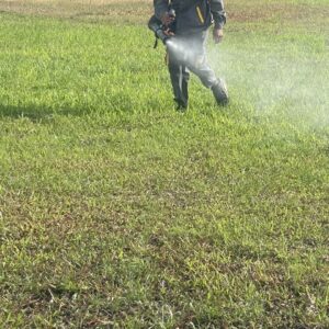 z5695341368479_e1a15e6f7f4921ac78a91c523bb5a903