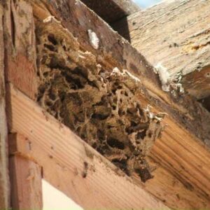 z5695351698925_3bcf0e4bb02c718c180cb95dd5e67cfc