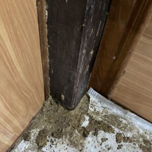 z5695351710194_a71ee1778ee3dba9ffcf53c4163979de