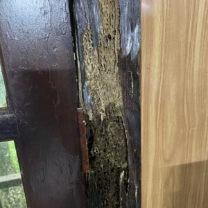 z5695351762577_242575e53b50590c321188f3bf677f45