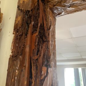 z5695351838124_9e813121d710d28064aba19eeb177442