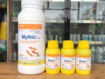 z5695363289352_c1c5c47029a59a773d0550dce8e927c9