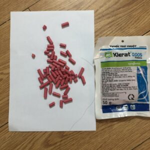 z5695379874482_e214fd5a485cbe585e4bf11f2e745c34