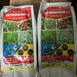 z5695387772924_bc6378905fc62f18cdf4e81d55b54058