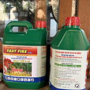 z5695387780119_b357380c1e5dcaf36141b689a0fe5cec