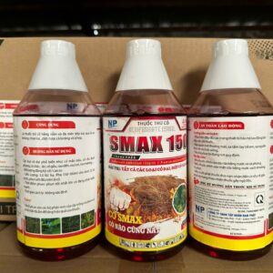 z5695387790123_756701fc10cd45bb734eaa951b7b2c89