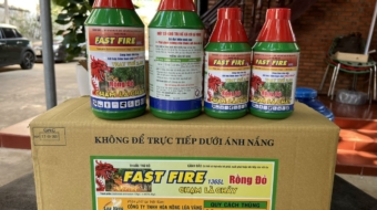 z5695387791913_04be84fc3539e66ad46e8bf64691d1e3