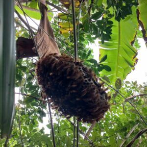 z5695399120504_3895537dad22307ba0b5f8c736227500