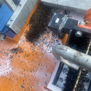 z5695399146340_f652fee72708c20a7e95371b6c496c1b