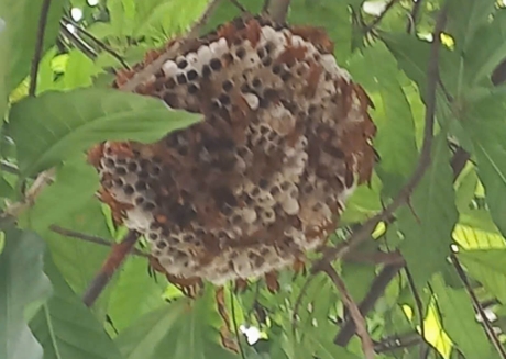 z5695399156781_8d2916bbe13028d537ea25261b863f8d