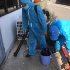 z5695407241193_ef55e162dbfa37c762e31b12ac29a50b