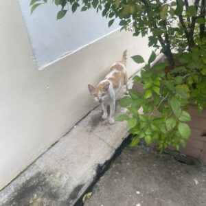 z5695411886887_fe354362c8bead02a7c08148e28a60f9