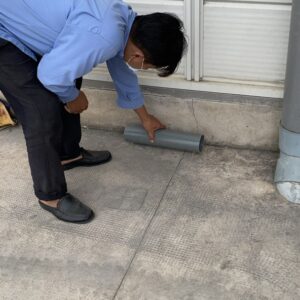 z5695415575300_0c3d90913b70fa372a58e099dda719c4